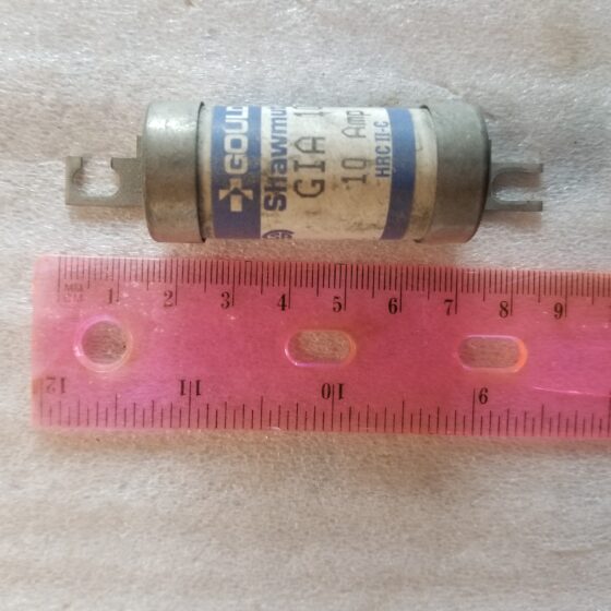 Gould GIA 10 Amp Fuse